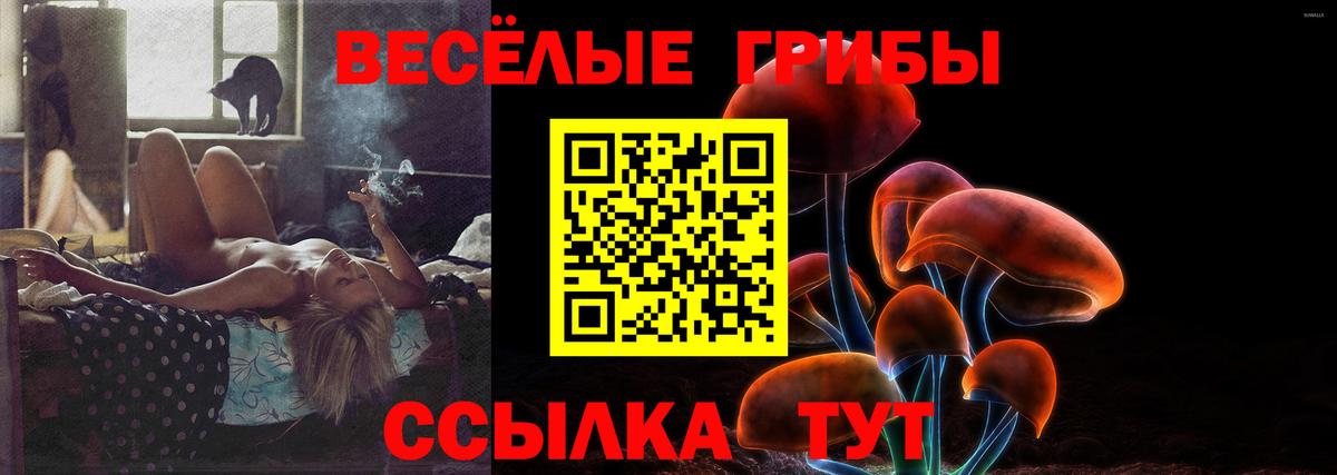 Псилоцибиновые грибы GOLDEN TEACHER Удомля